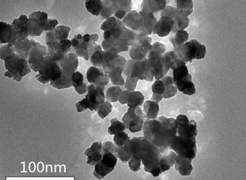 Metodi e fasi di preparazione di campioni di nanopolveri per la microscopia elettronica a scansione