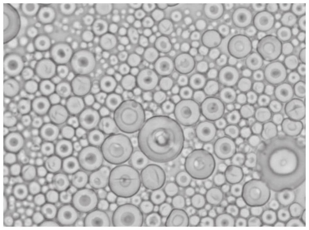 L'ultimo brevetto per il metodo di preparazione della micropolvere sferica di silicio