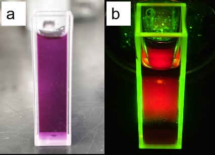 Quali sono i metodi di sintesi e le applicazioni dei punti quantici di carbonio