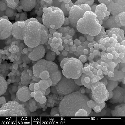 Le nanoparticelle d'oro regolano l'asse 