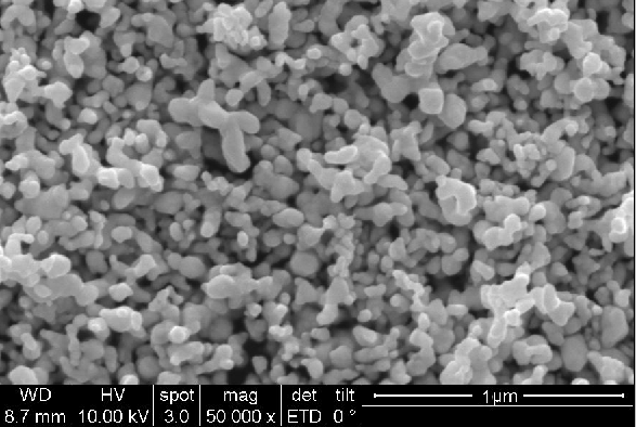 Utilizzo di MMT composito di chitosano modificato con arginina caricato con argento per la conservazione antibatterica sinergica negli alimenti