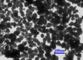 Impalcatura composita superparamagnetica in idrogel per il monitoraggio dinamico in vivo della rigenerazione dell'osteoartrosi