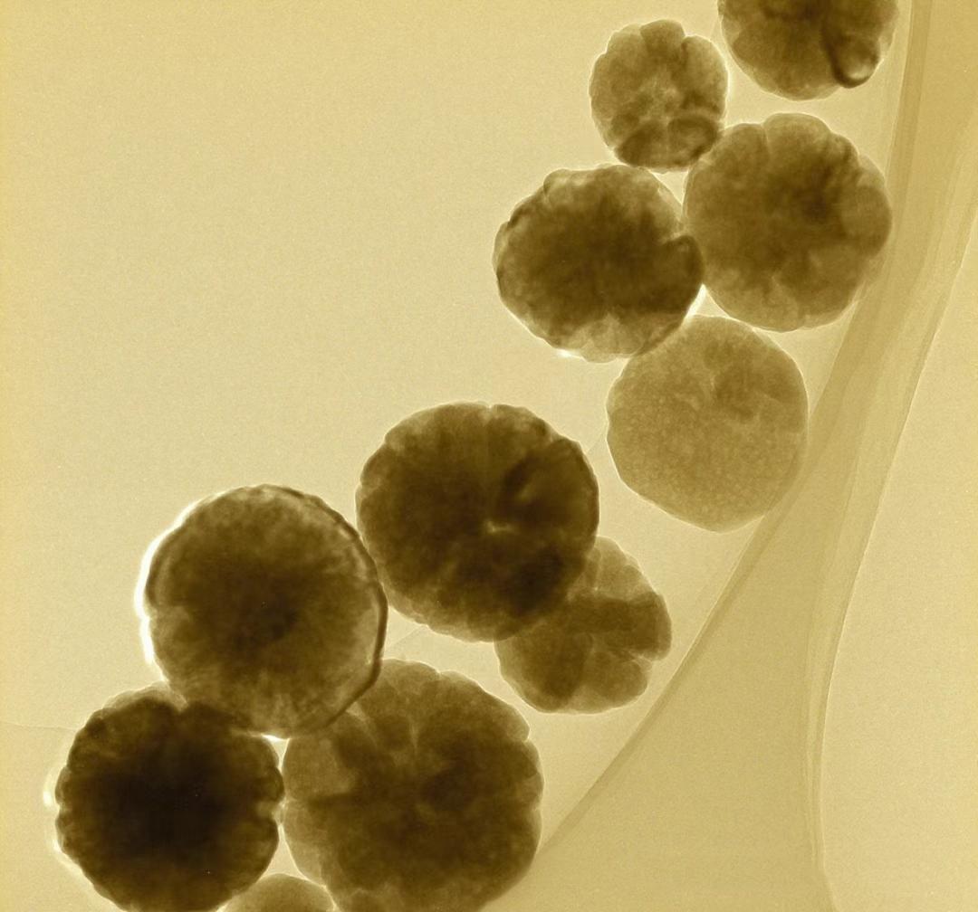 Un metodo semplice per preparare polvere di ossido ferrico