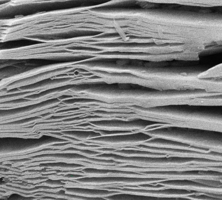 Polvere di nanofiocchi multistrato di carburo di titanio Ti3C2Tx MXene